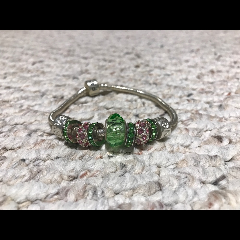 Pandora Bracelet (off brand)